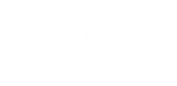 Chiroflow Professional Premium Waterbase Pillow